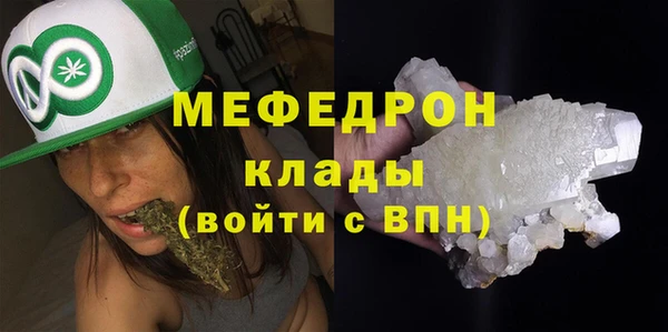 прущие грибы Дмитриев