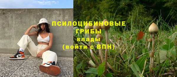 первитин Дмитровск