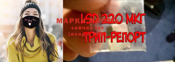 прущие грибы Дмитриев