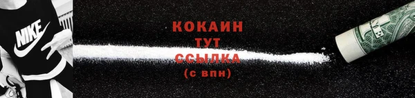 тгк Дмитров