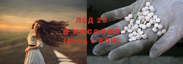 тгк Дмитров