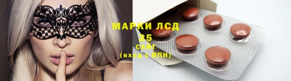 прущие грибы Дмитриев