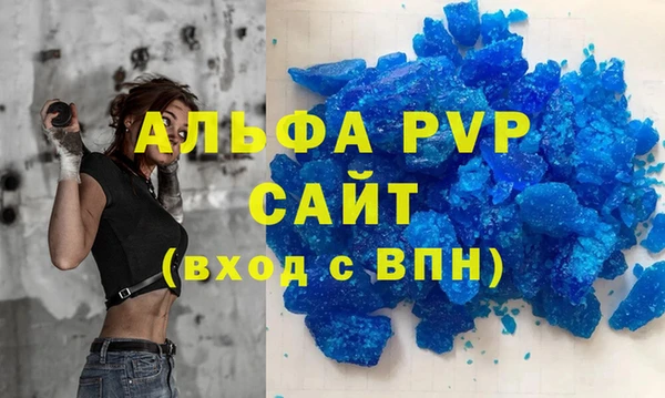 прущие грибы Дмитриев