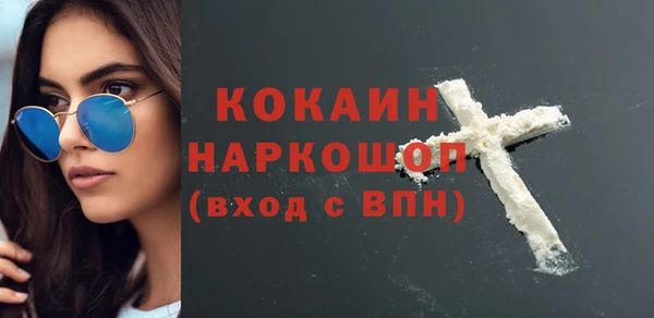 прущие грибы Дмитриев