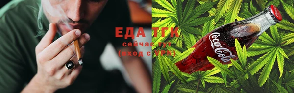 тгк Дмитров
