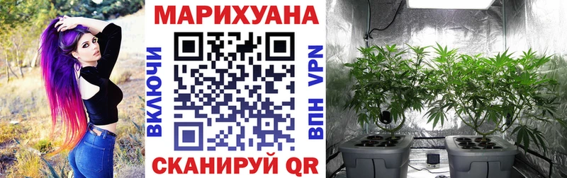 Бошки марихуана Bruce Banner  Купить где  Старая Купавна 